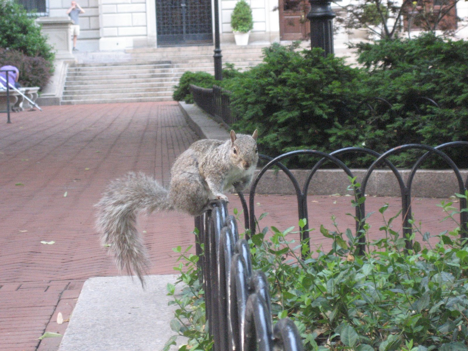 [squirrel2.jpg]