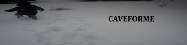 Caveforme