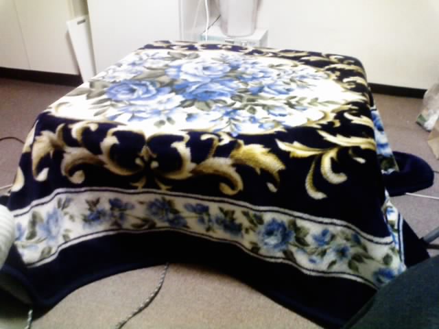[kotatsu+2.jpg]