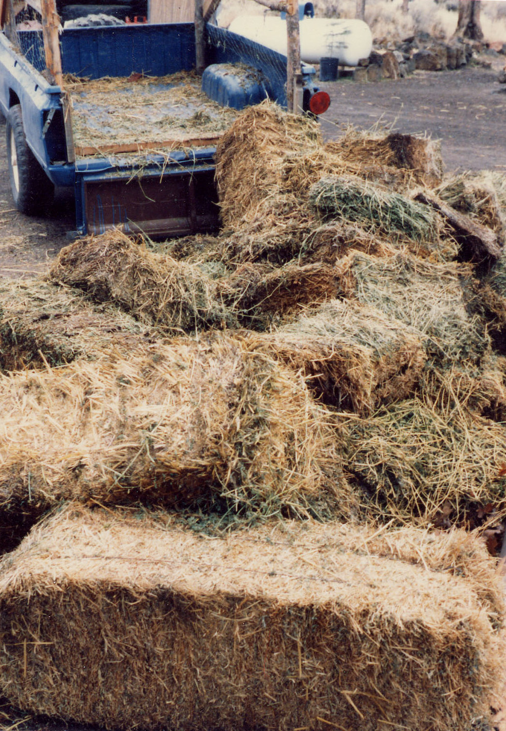 "Sharing Gardens" The benefits of deep mulching