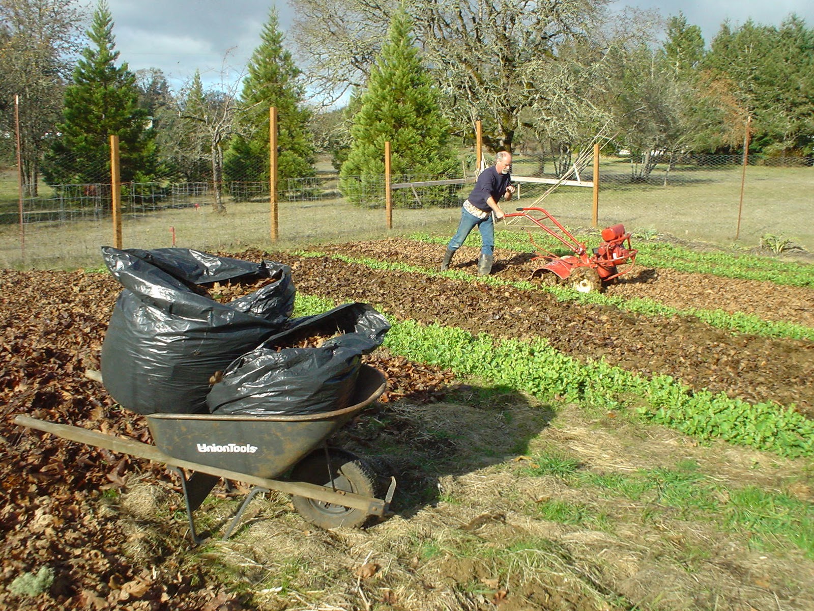 "Sharing Gardens" The benefits of deep mulching