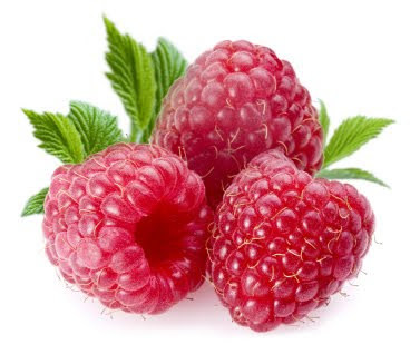 Raspberry ~ Rubus idaeus