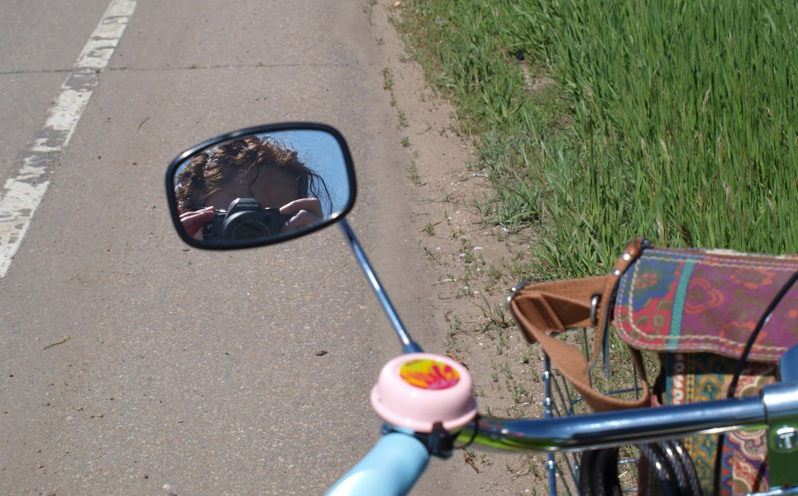 electra cruiser handlebar mirror
