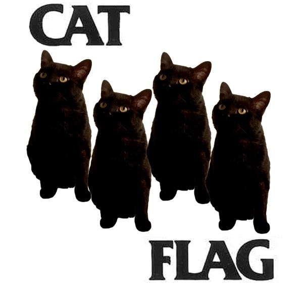 cat-flag-30958-1295532158-1.jpg