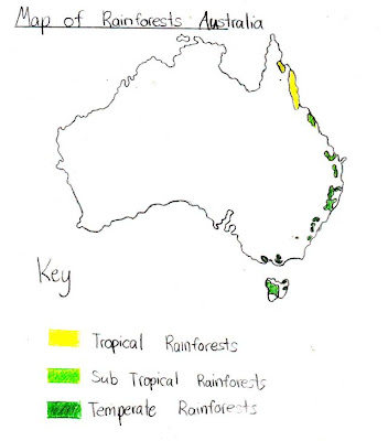 rainforest food chain diagram rainforest food chain diagram. rainforest food chain diagram