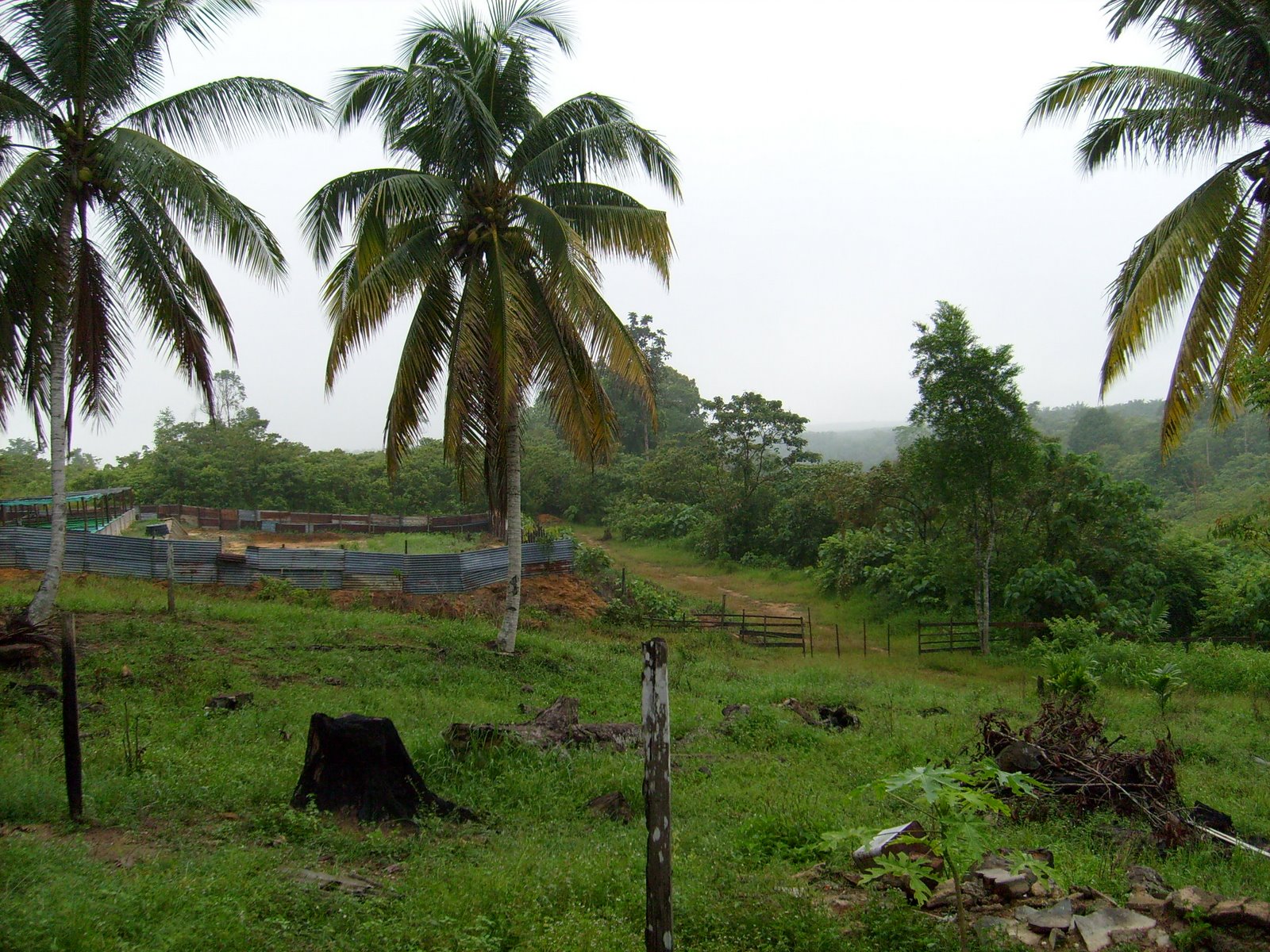 [kolam+area+(3).JPG]