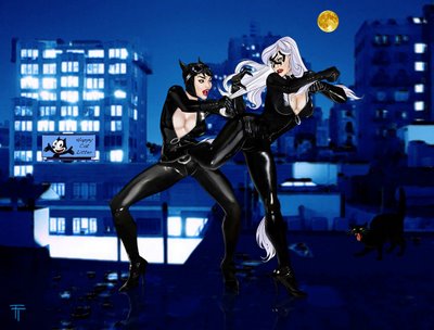 Catwoman Vs Supergirl