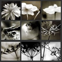 Photos Sophie Thouvenin