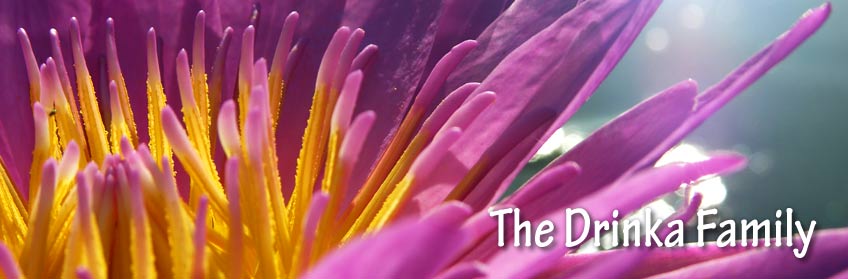 our exceeding joy