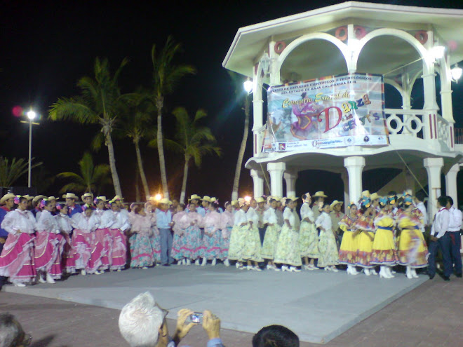 Concurso estatal de danza 09