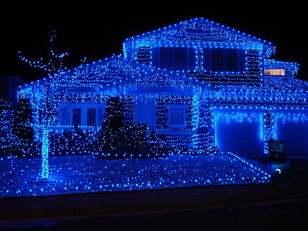 i wonder if theyre jewishcause blue makes me think of chanukanot christmas wheres the red and the green people and if they are jewish and - Grinch Stole Christmas Lights i wonder if theyre jewishcause blue makes me think of chanukanot christmas wheres the red and the green people and if they are jewish and - Grinch Stole Christmas Lights
