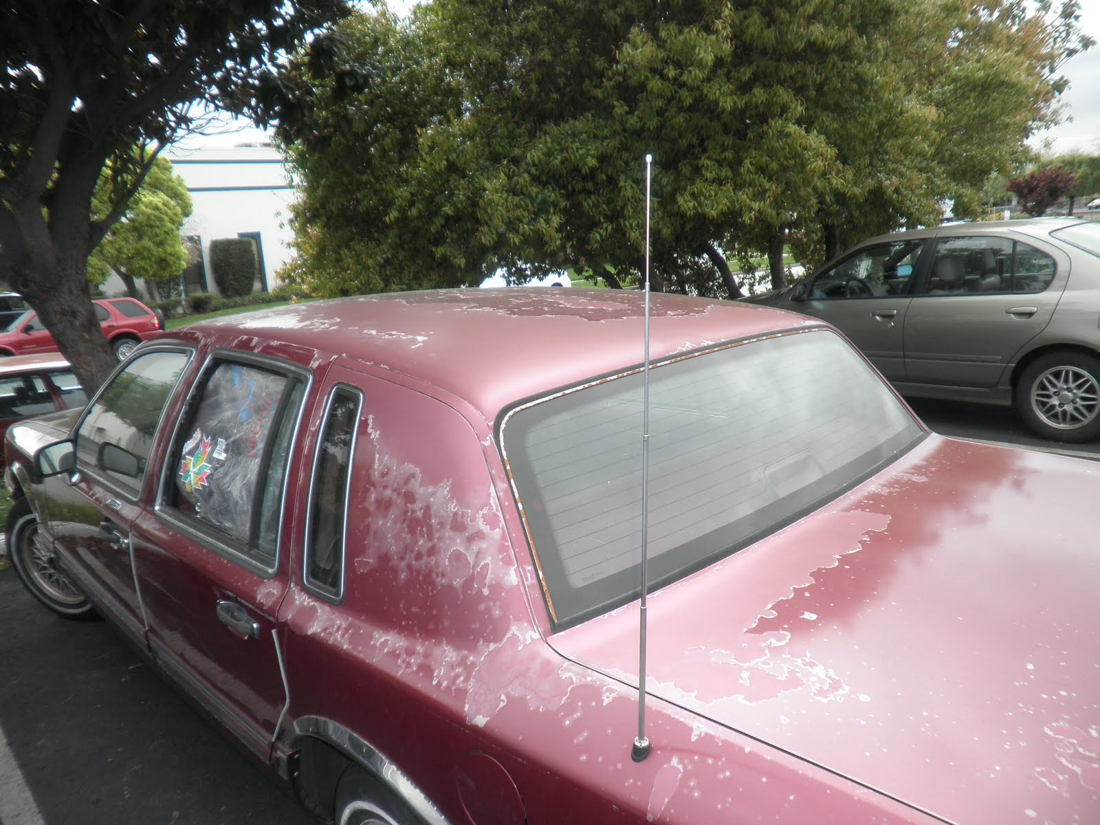 Auto BodyCollision RepairCar Paint in FremontHaywardUnion CitySan Francisco Bay Car of the