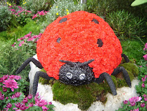 Why the ladybug?