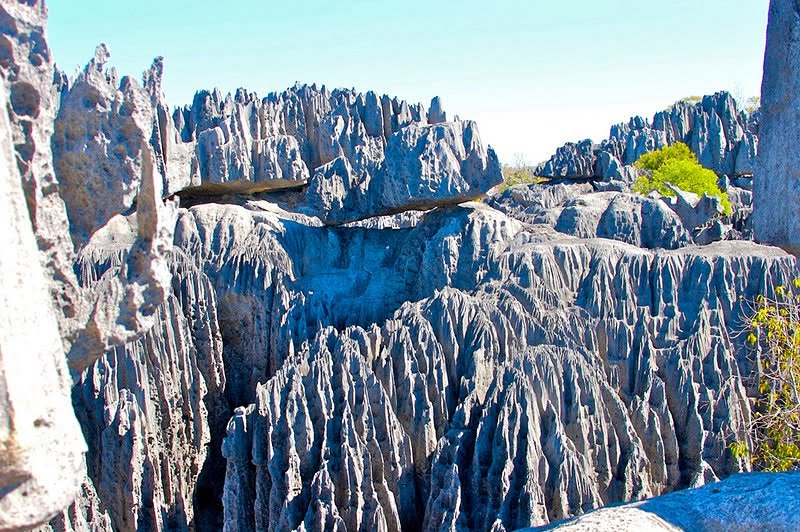 Madagascar Limestone