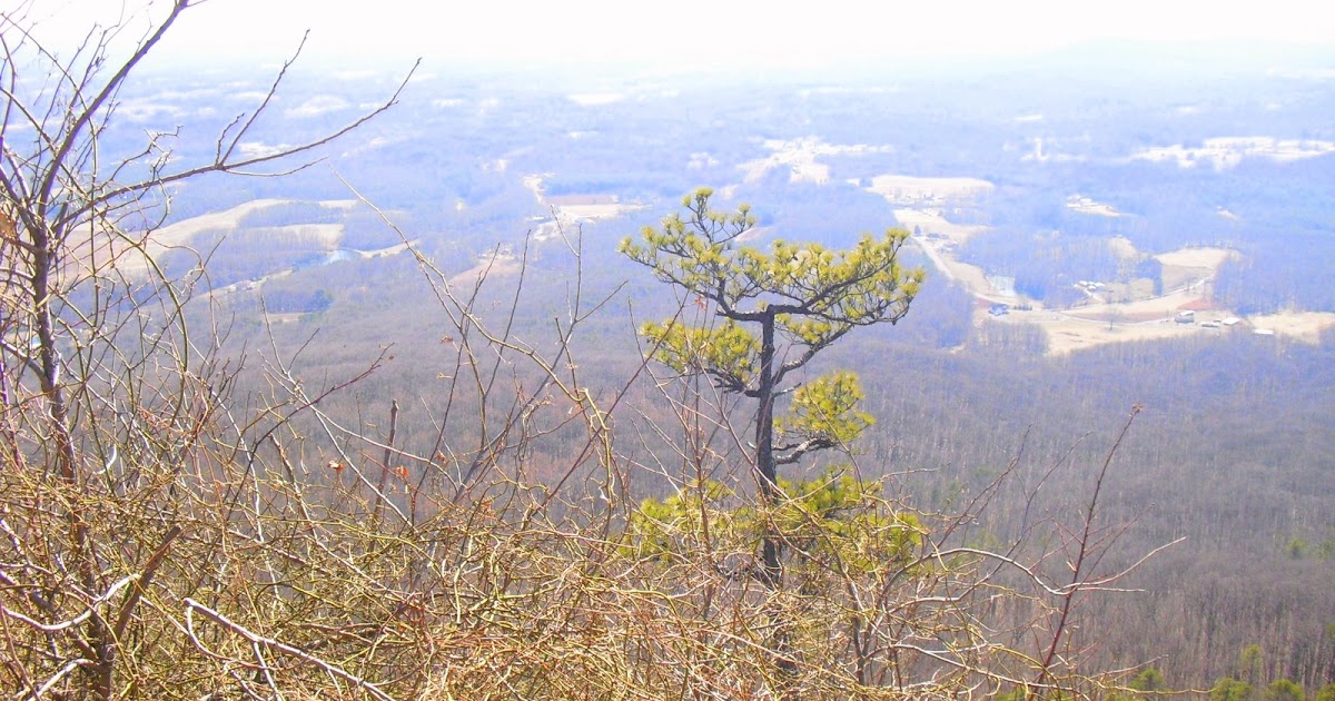Discovering Greensboro Pilot Mountain
