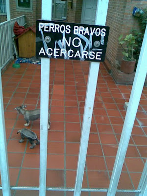 raras raras