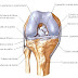 Efeitos de um Protocolo Fisioterápico no Pós-operatório de fratura de Platô Tibial