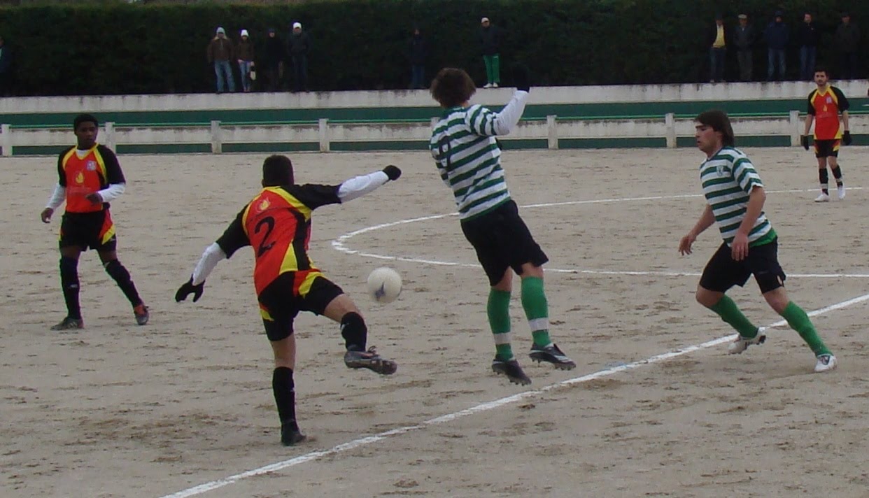 [DSC04098.JPG]