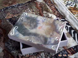 CAJA GATITOS