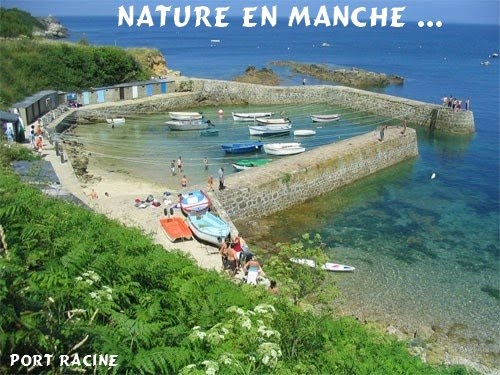 Nature en Manche ...