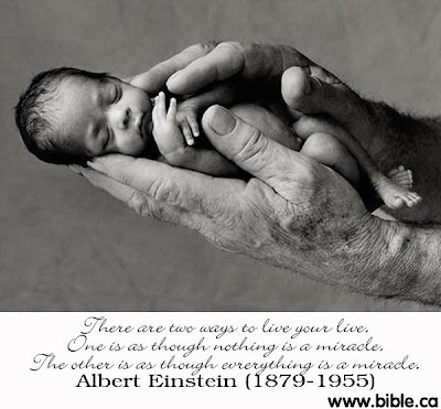 argument against abortion