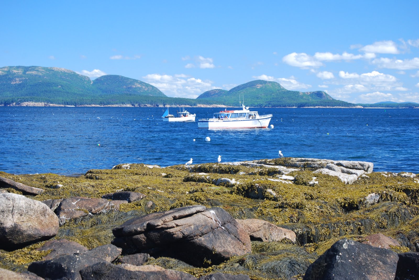 keepin' up with Vicky and Steve Baker Island