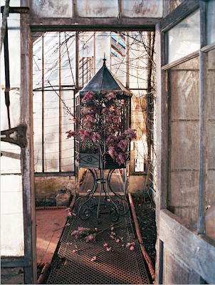 Birdcage by Studio Toogood Birdcage by Studio Toogood