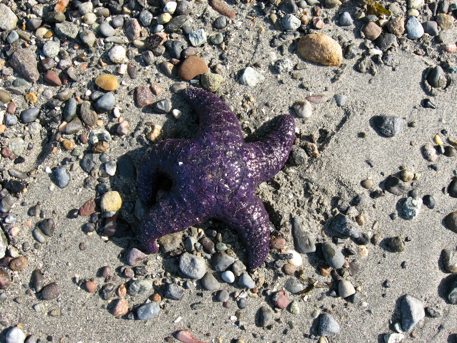 [IMG_2025.JPG]