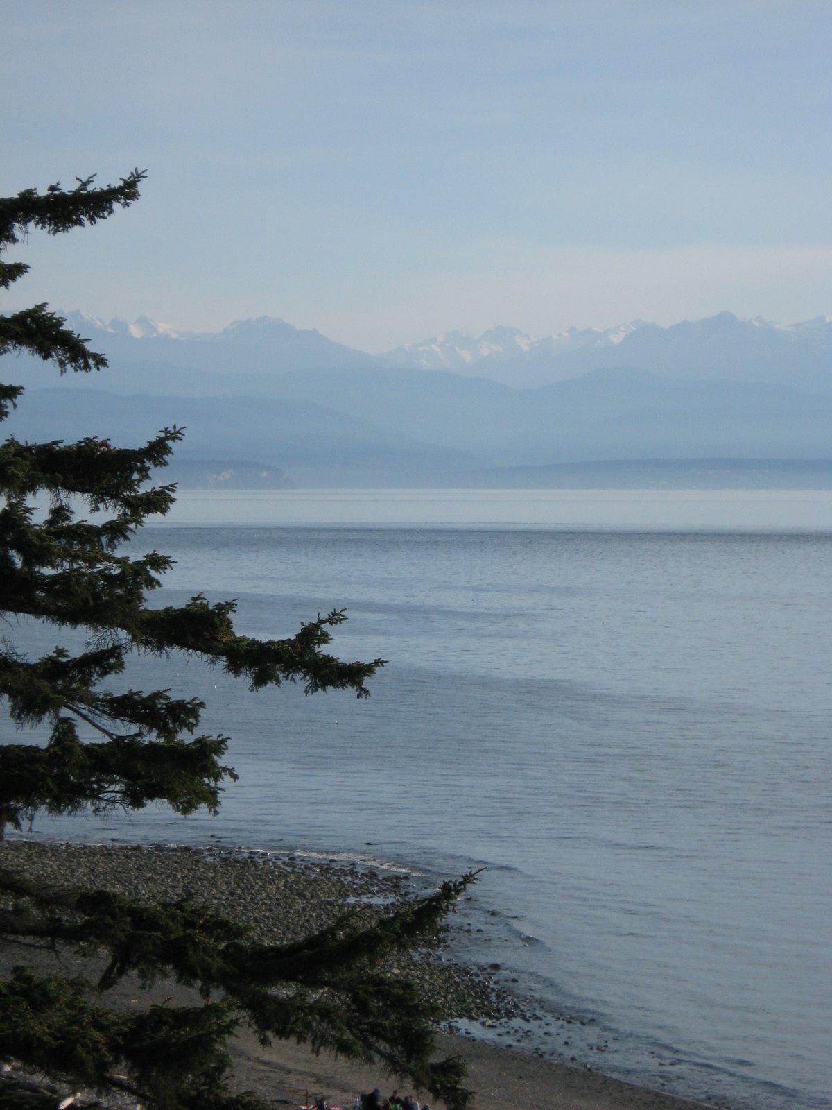 [IMG_2489.JPG]