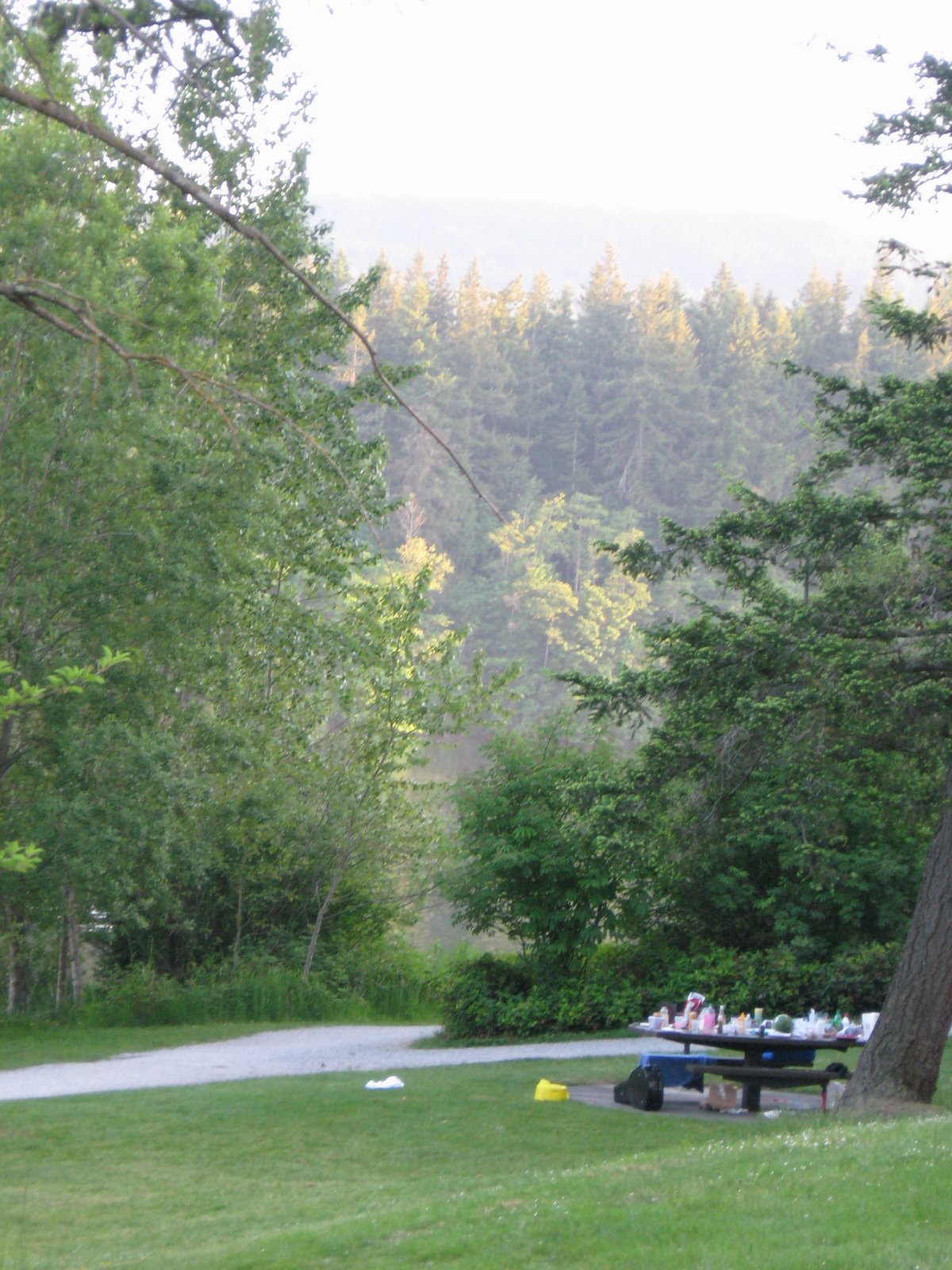 [IMG_2647.JPG]