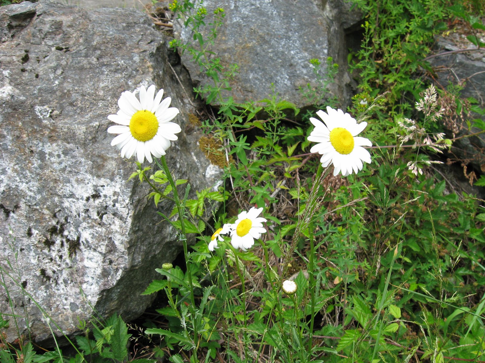 [IMG_2734.JPG]