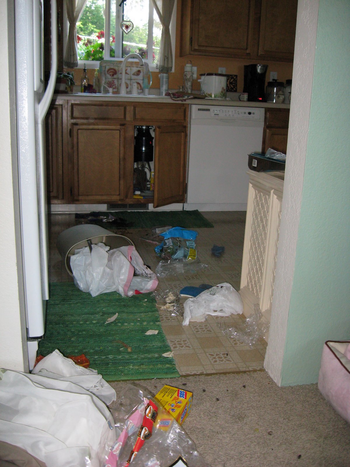 [IMG_3265.JPG]