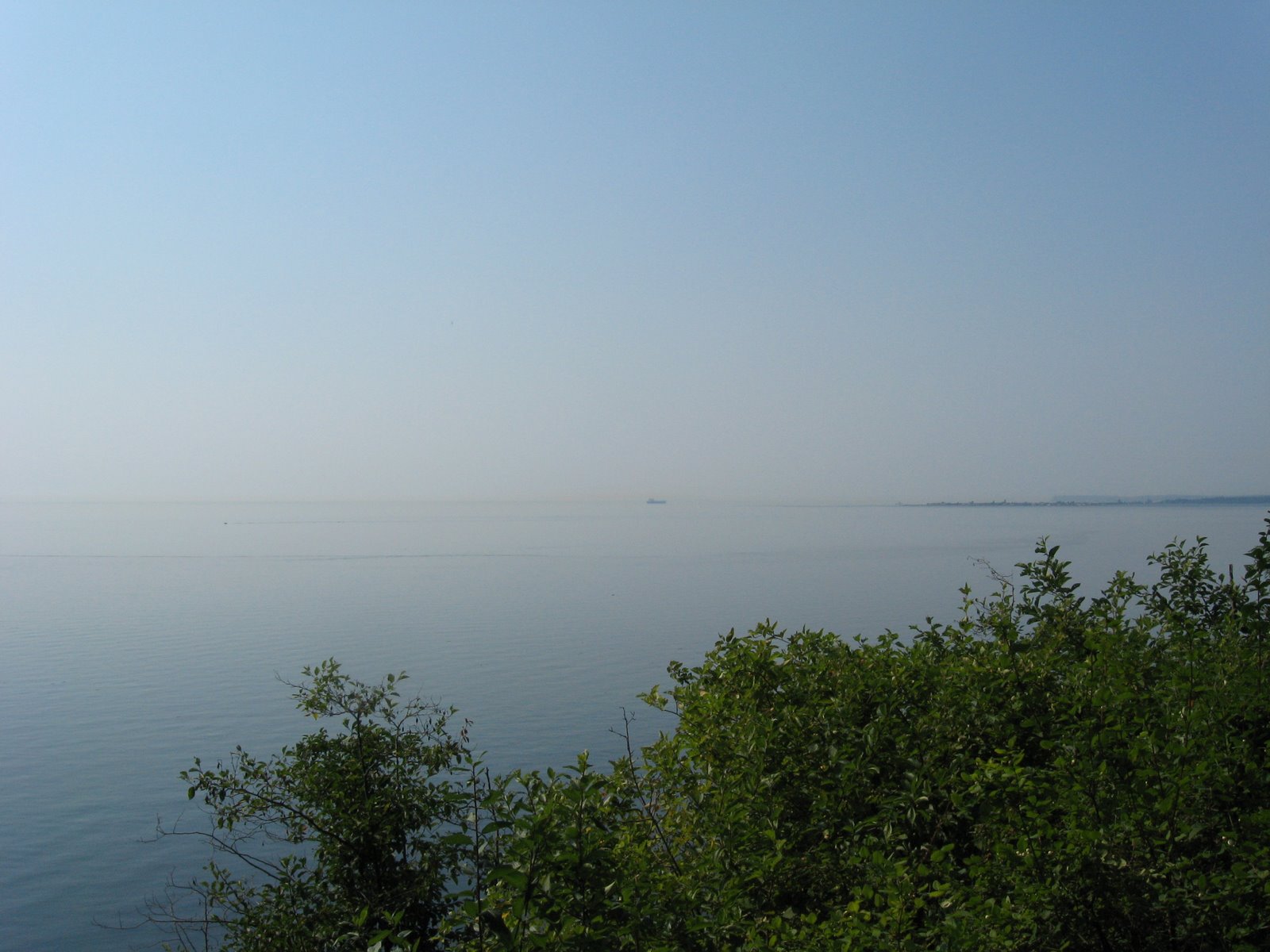 [IMG_3314.JPG]