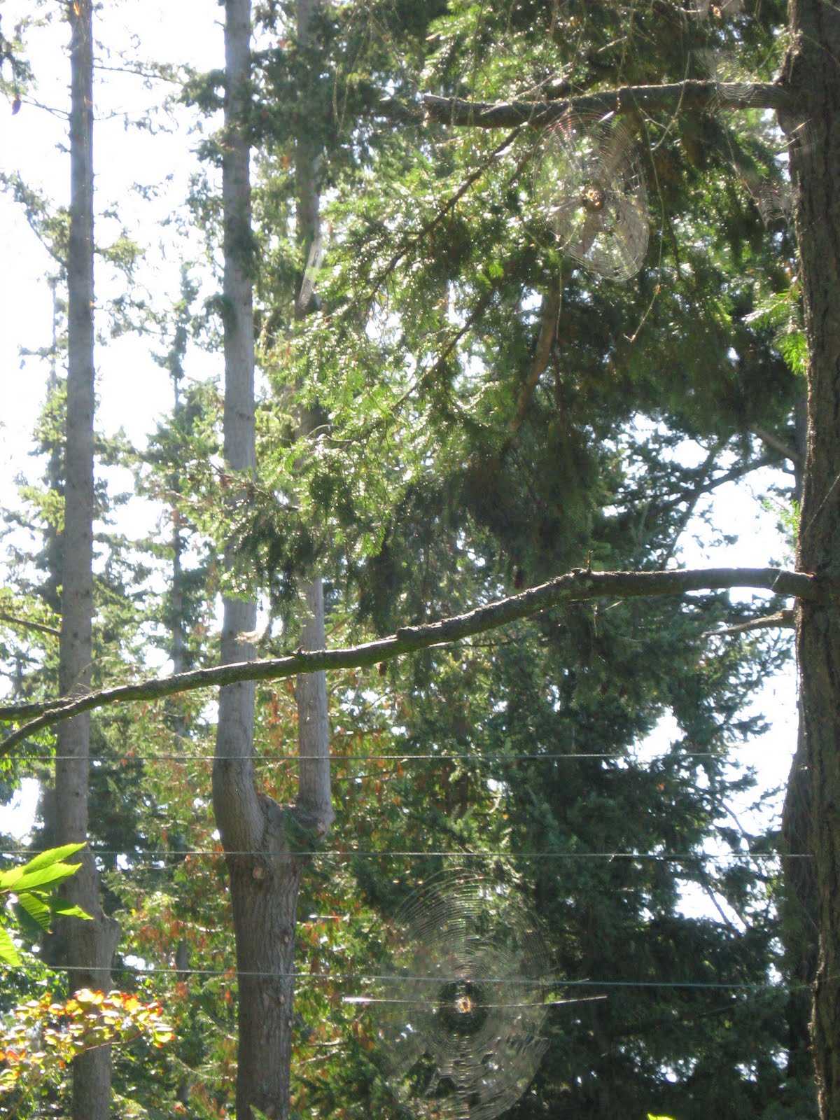 [IMG_4096.JPG]