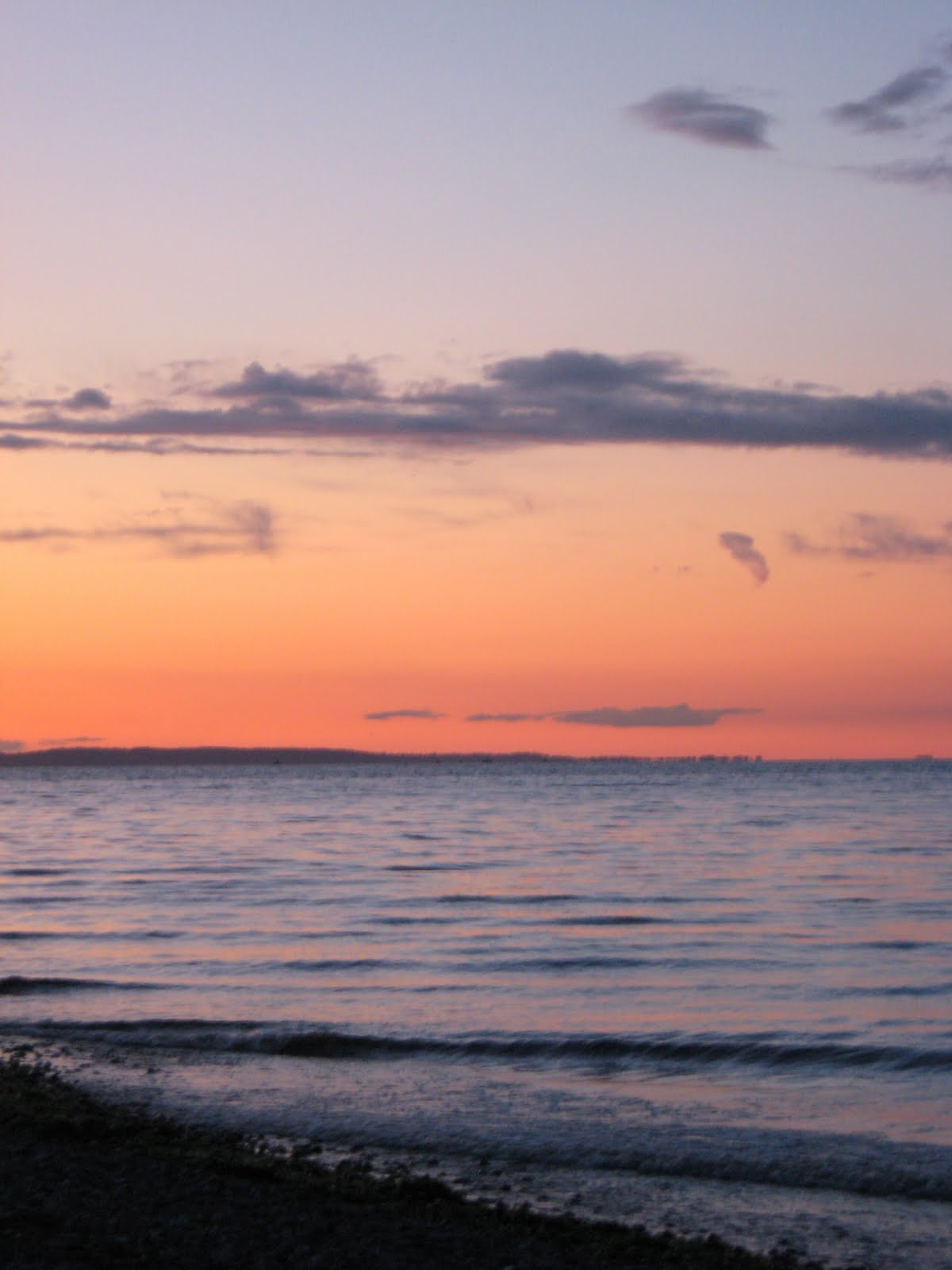 [IMG_4151.JPG]