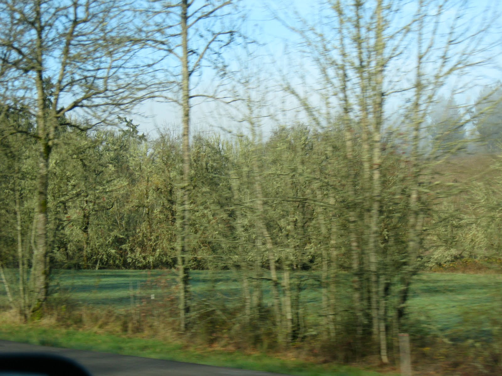 [IMG_4448.JPG]