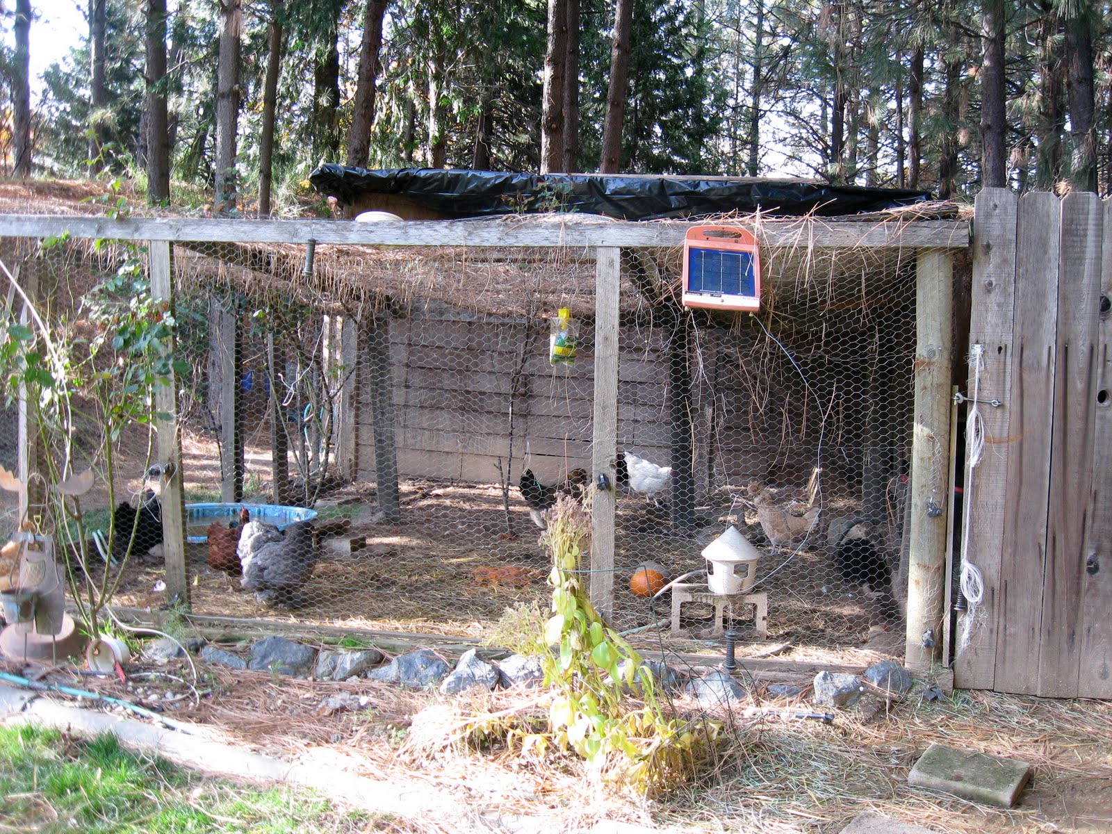[IMG_4459.JPG]