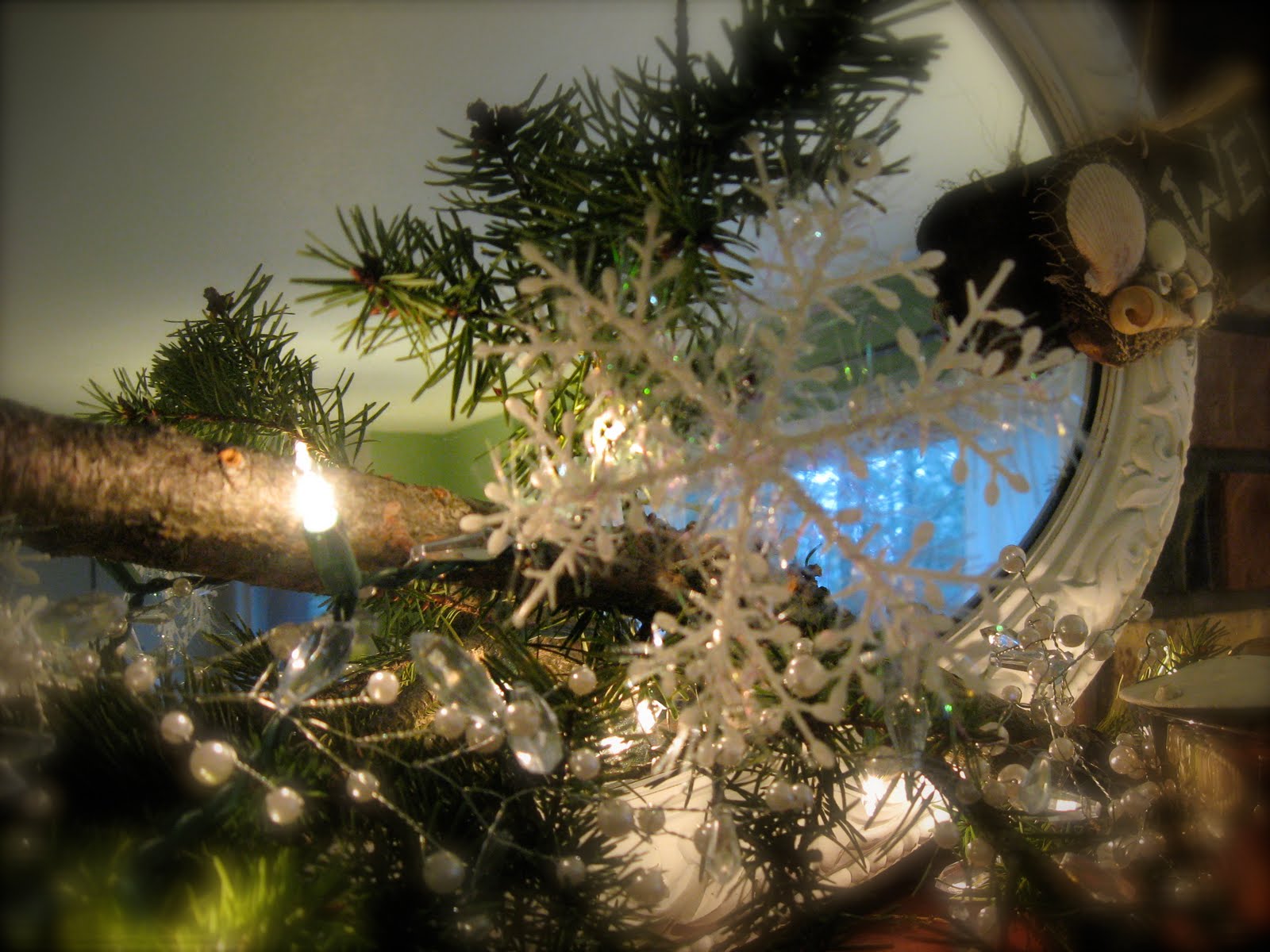 [IMG_4615.JPG]