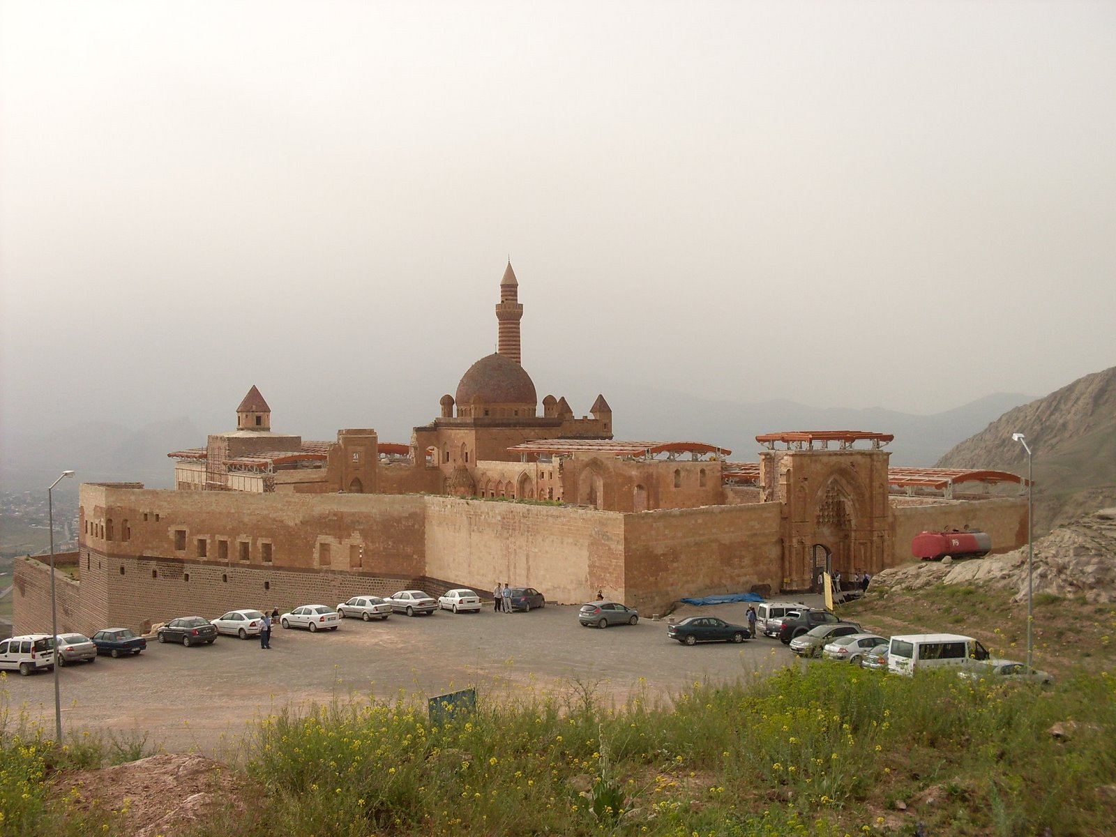 [SDC12556.JPG]