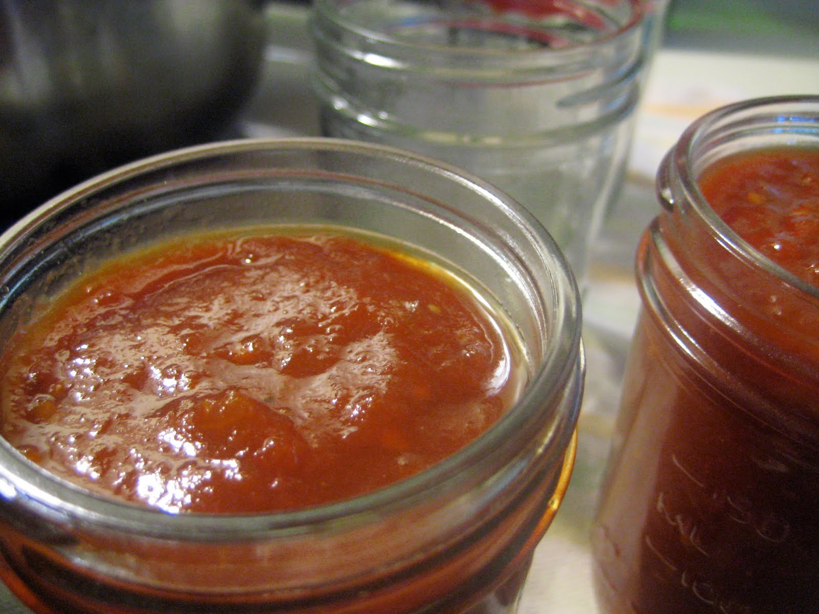 What Julia Ate Tomato Ketchup August Can Jam