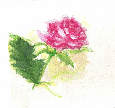flower watercolor sketches rose flower sketch. flower watercolor sketches