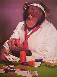 Dressed up monkey