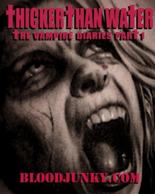 [vampire+diaries.jpg]