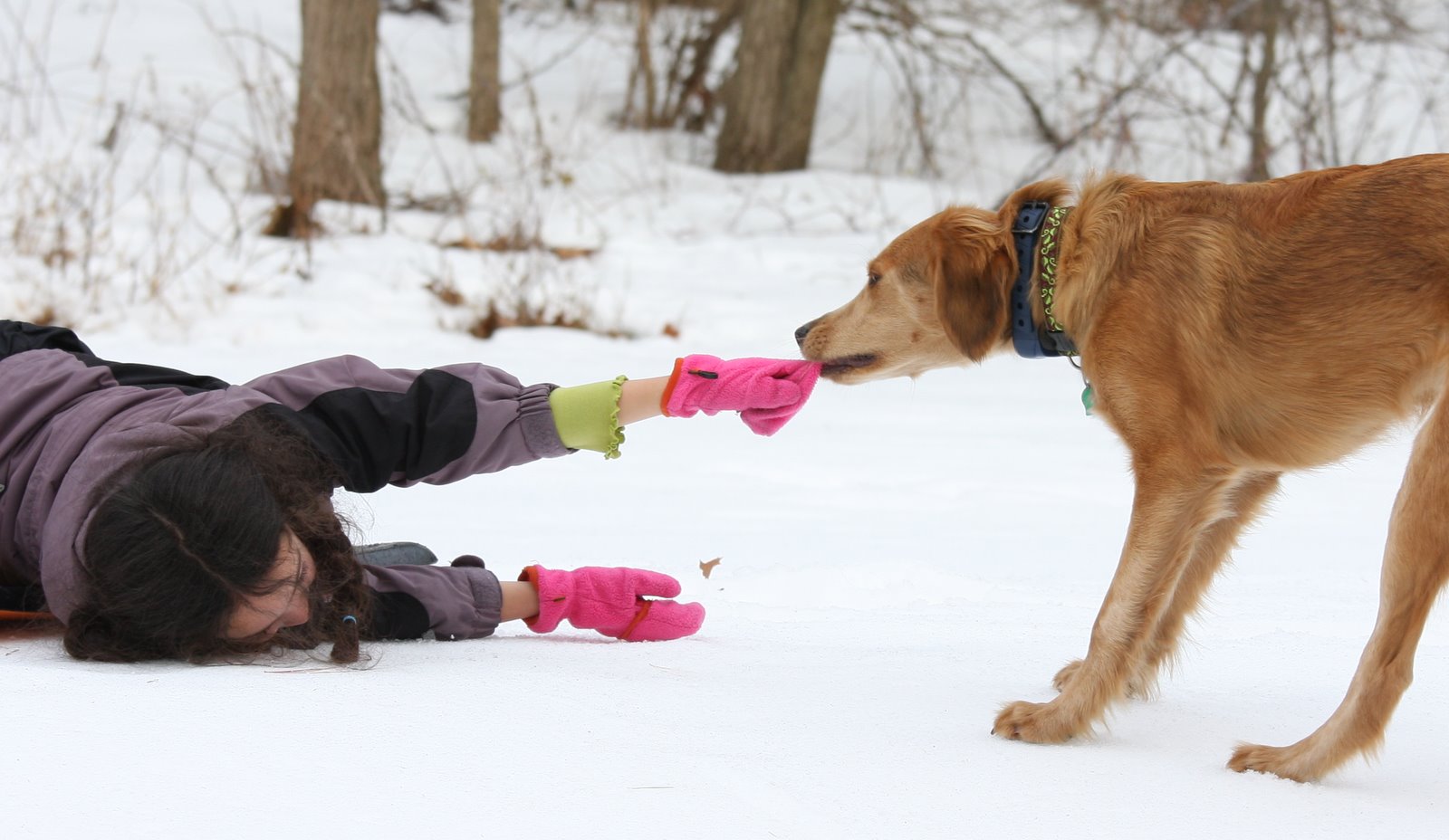 [2007-12-30+1317491.JPG]