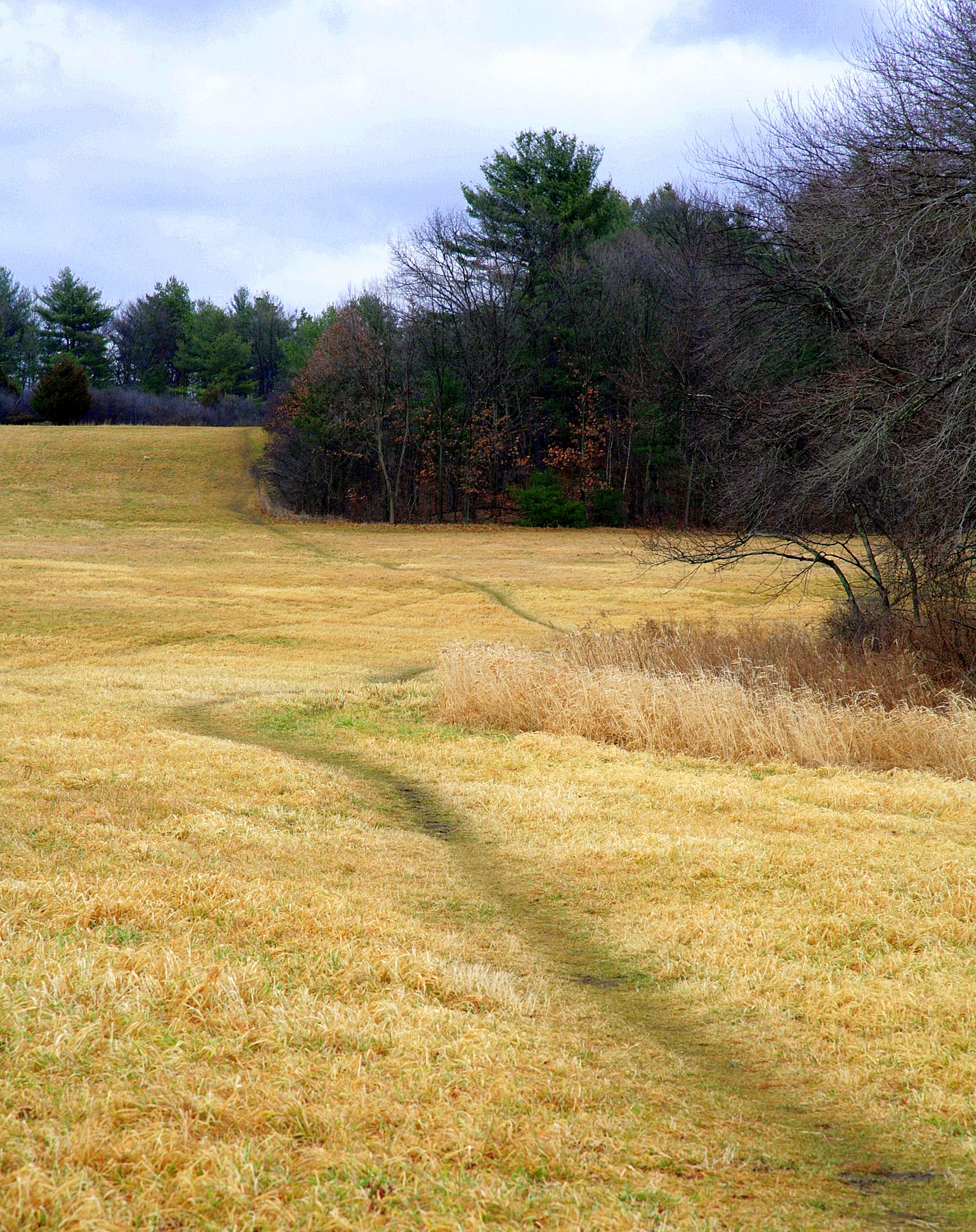 [2007-01-06+100649+2.JPG]