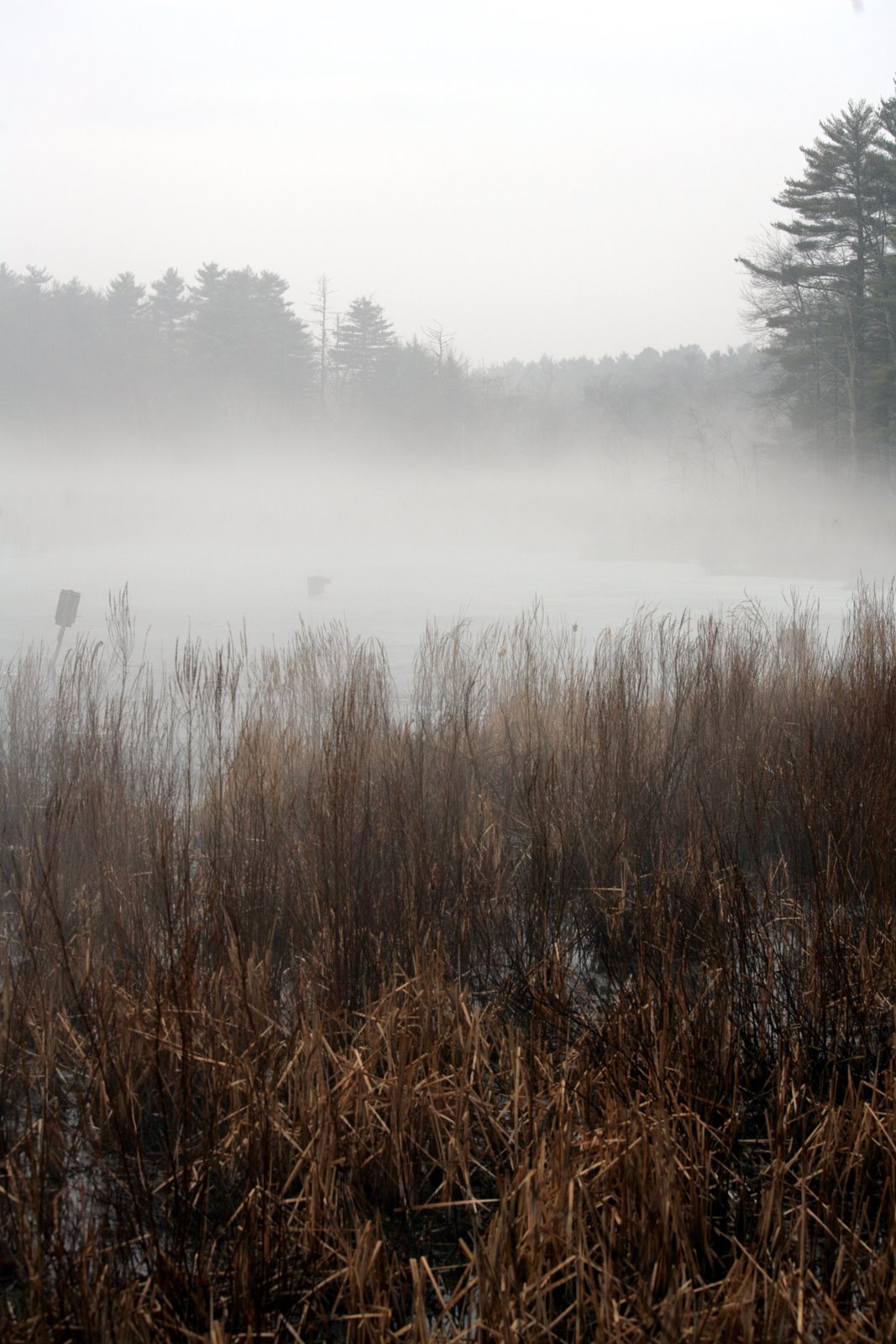 [2007-03-15+085657+0.JPG]