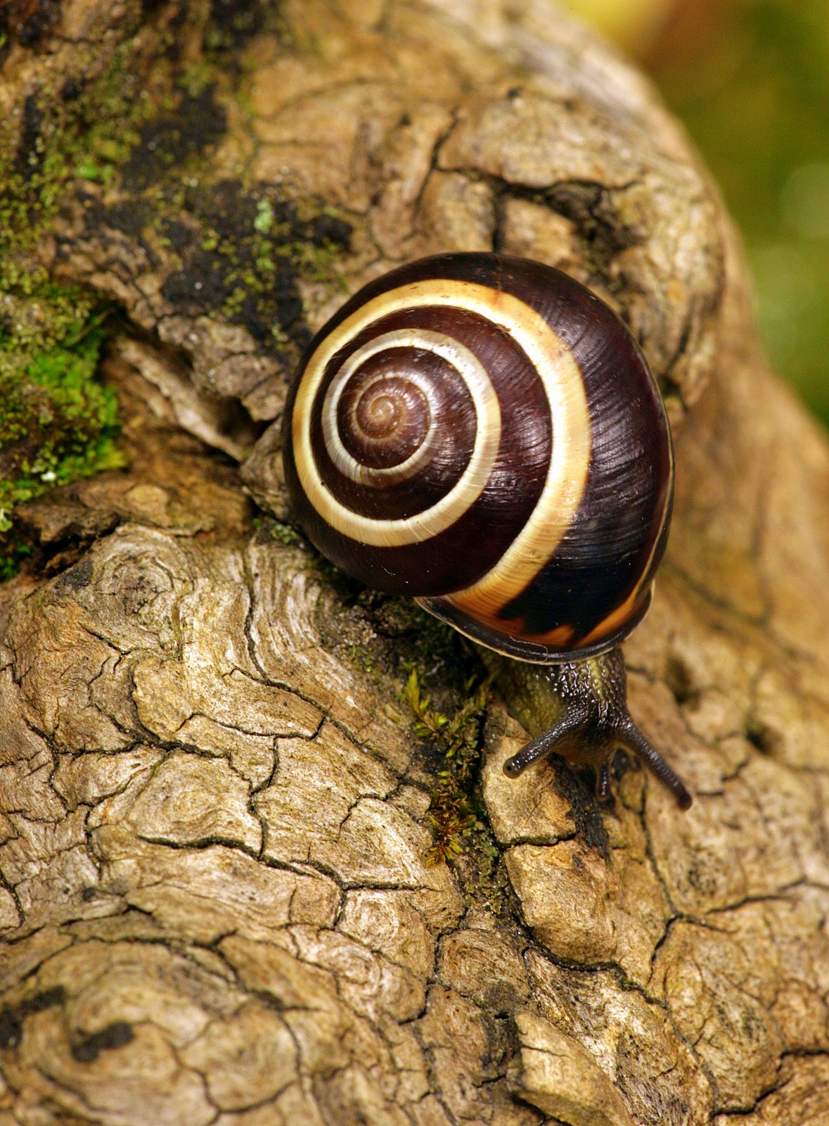 [2007-03-31+114832+1.JPG]