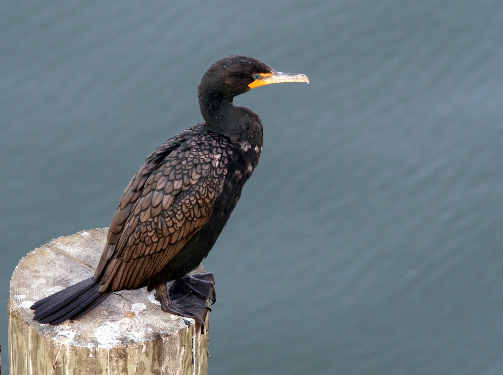 [2007-03-24+090220+7.JPG]