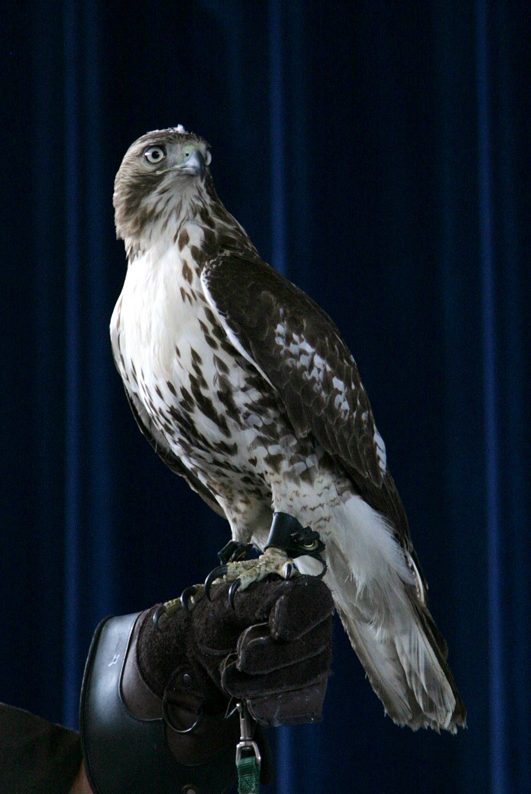 [2007-04-01+152823+1.JPG]