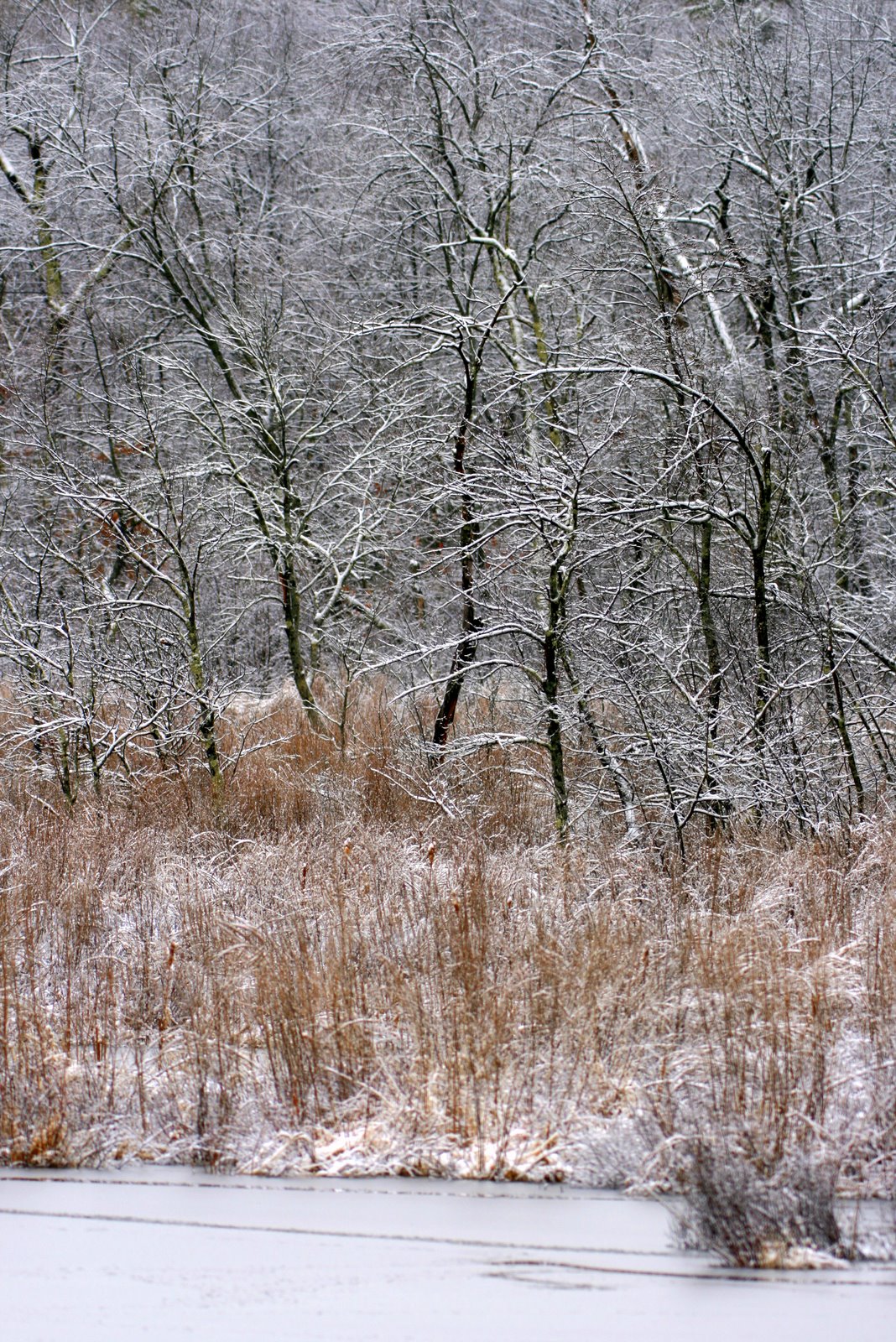 [2007-04-05+093102+0.JPG]